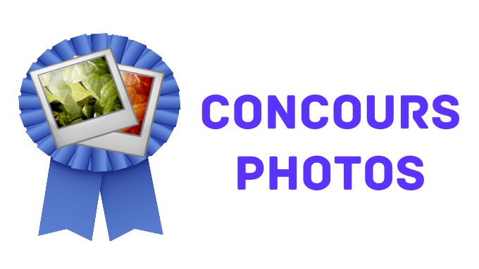 2020-05-18  Concours Photo.png